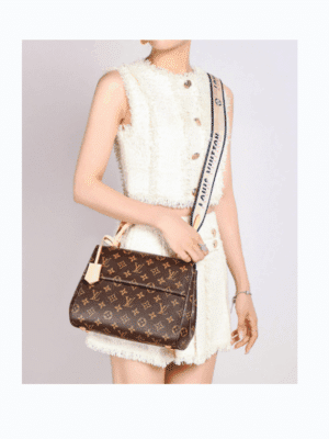 [베트남 출고] 루이비통 클루니 BB M46372