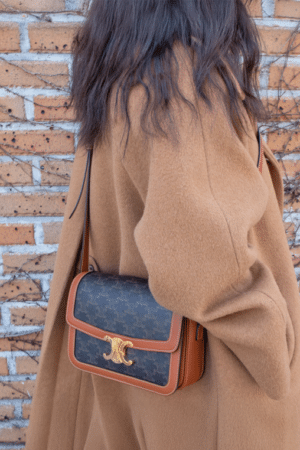 [셀린느] 클래식 트리옹프 백 - 트리옹프 캔버스 & 카프스킨 191242BZ4