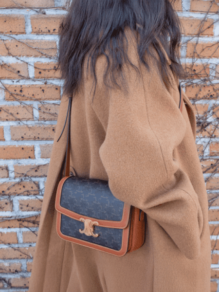 [셀린느] 클래식 트리옹프 백 - 트리옹프 캔버스 & 카프스킨 191242BZ4