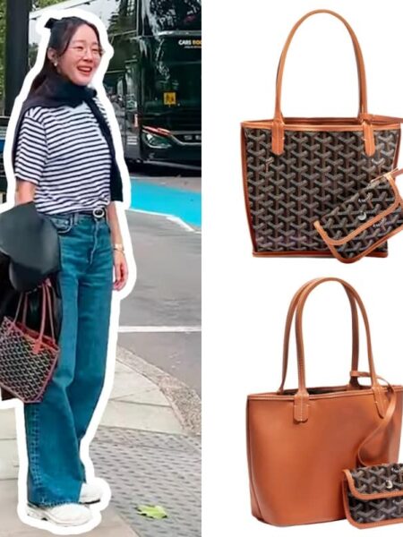 [제작 상품] 고야드 미니앙주 (5컬러)