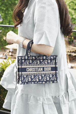 [제작 상품] 디올 북 토트백 미니 (2칼라)