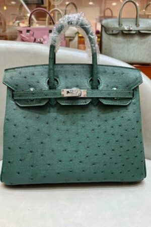 [에르메스] 버킨 25cm Ostrich Silver (3 Colors)