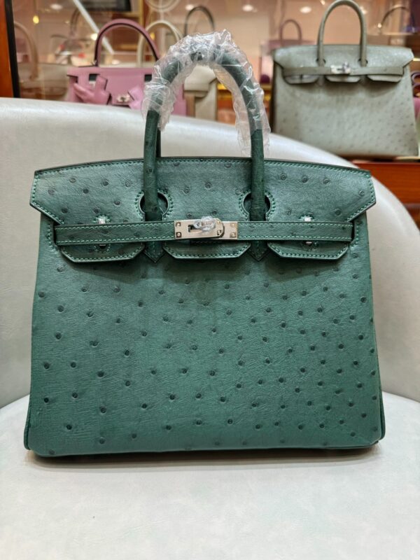 [에르메스] 버킨 25cm Ostrich Silver (3 Colors)
