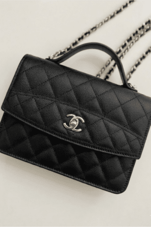 [샤넬] 26C 크루즈 탑핸들 WOC AP4401