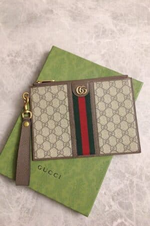 [구찌] 오피디아 클러치백 672989