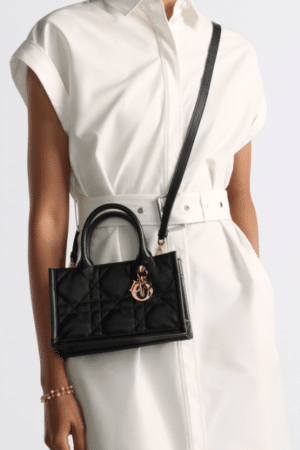 [디올] 미니 스트랩 북 토트백 S5573OWHP