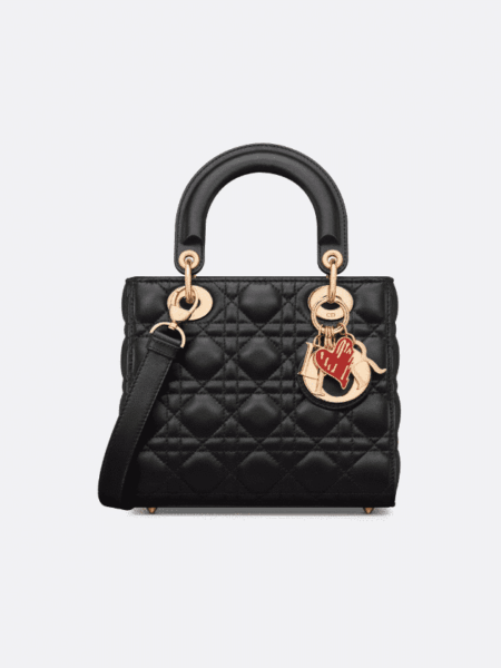 [디올] 디올아무르 레이디 디올 스몰 백 M0531ONJH