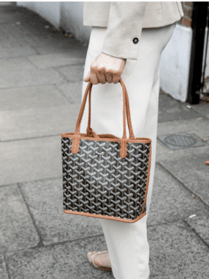 [고야드] 앙주 백 미니