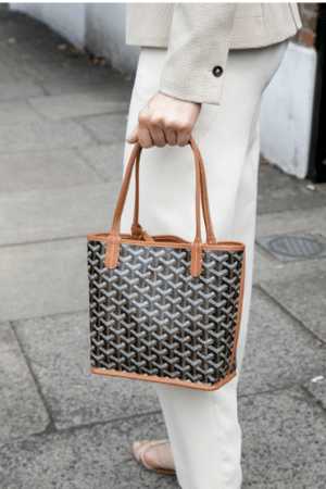 [고야드] 앙주 백 미니