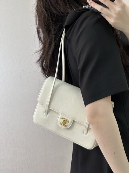 [샤넬] 코코 프레피 스몰 호보백 AP6130 제니백 (6 COLOR)