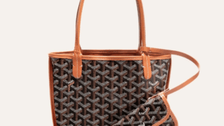 🔎 [알고 쇼핑하자! 코너] - 고야드 미니앙주